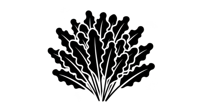 Minimalist Outline Leaves Illustration On Black Background