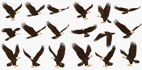 A collection of bald eagles in various flight poses, showcasing their majestic movement and power against a transparent background.