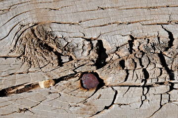 Old hand hewn metal spike in weathered wood