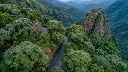 Serpentine Mountain Road Amid Lush Greenery