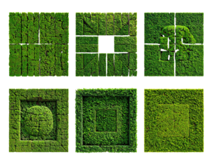Six squares of meticulously arranged moss patterns