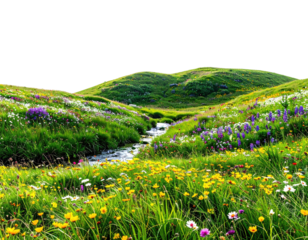 Lush mountain valley with vibrant wildflowers