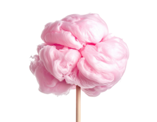 Pink fluffy cotton candy on a stick (1)