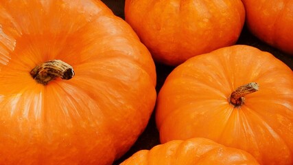 A closeup shot of a pile of pumpkins, pumpkin background 
