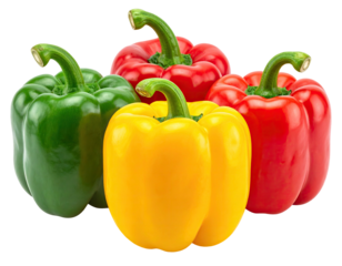Close-up of four bell peppers in varying colors