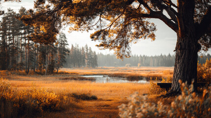 Peaceful calm fall landscape with an orange tree in forest. beautiful scenic view of autumn nature with tranquil pond in background