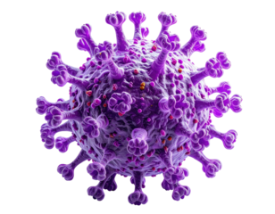 Close-up of a vibrant purple virus