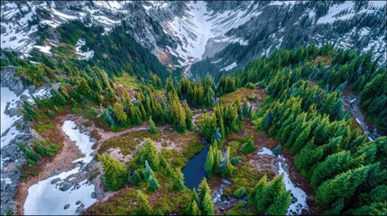 Drone shot of a high-altitude meadow in spring, wildflowers beginning to appear among lingering snow patches, vibrant contrast from above 