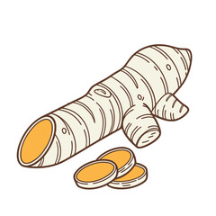 Spices & Herbs Color Illustrations Pack – Garlic, Ginger, Chili, Cinnamon, Cloves, Turmeric, Basil, Mint, Parsley, Rosemary Flat Vector Set