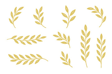 Clean and simple golden leaf line art vector set, elegant botanical foliage icons, minimal nature branch illustrations with transparent background, ordered collection for design