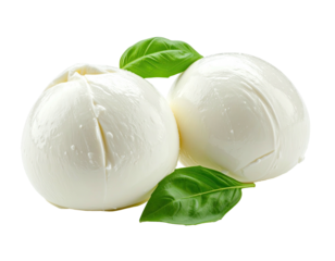 Two balls of fresh mozzarella with basil leaves
