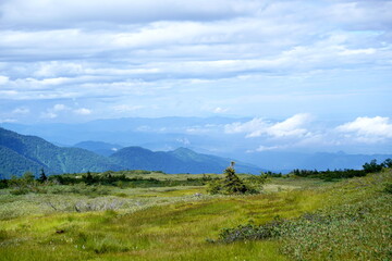 Fototapeta premium 広大な高原に広がる緑の草原と遠景に連なる青い山々を背景に夏空の入道雲が浮かぶ雄大な自然のパノラマ風景です