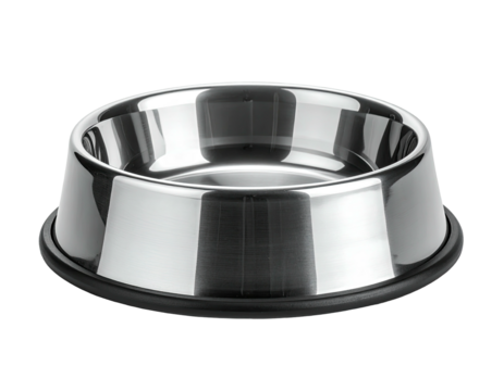 Shiny stainless steel pet bowl
