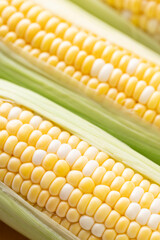 Fresh sweetcorn (bicolor) texture background