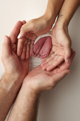 A father and mother hold the feet of a newborn child in a white blanket on a white background.. The feet of a newborn in the hands of parents. Photo of foot, heels and toes.The palms of the parents.