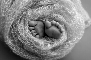  Close up feet, toes, heels, feet of a newborn baby. Studio monochrome, vintage style, black and white macro photography. Foot of a newborn.