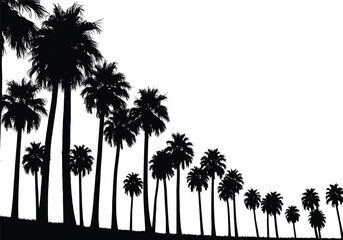 black and white silhouette illustration of tropical palm trees exotic beach nature landscape summer vacation paradise vector artwork isolated graphic