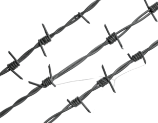 Close-up view of barbed wire