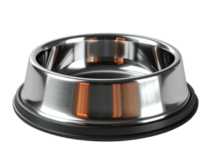 Polished stainless steel pet bowl