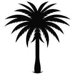 Obraz premium date palm silhouette vector icon