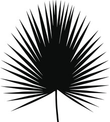 black silhouette tropical palm leaf isolated illustration design vector graphic botanical nature plant foliage shape abstract pattern decorative artwork