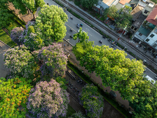 Le Duan street in Hanoi lined with purple flowering trees and green foliage.
