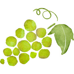 水彩風に描いた葡萄のイラスト