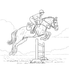 Black and white line art illustration of an equestrian and horse show jumping over a fence.