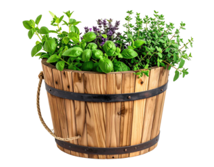Wooden barrel planter filled with fresh herbs