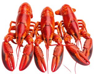 Three whole lobsters arranged together