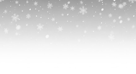 Fototapeta premium Delicate Snowflakes Falling on a Gradient Gray Background, Winter Season
