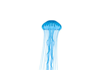 Luminous Blue Jellyfish Against Dark Backdrop Isolated on Transparent Background