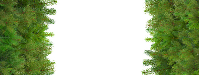 Pine branches make a great holiday border, isolated, PNG