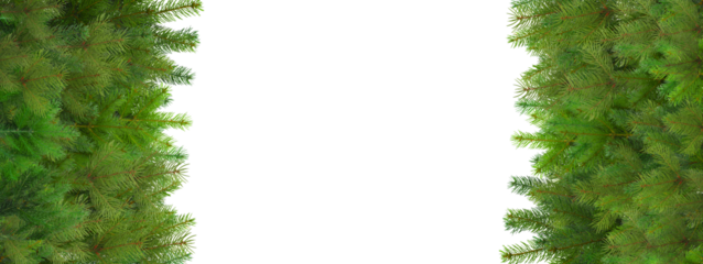 Pine branches make a great holiday border, isolated, PNG