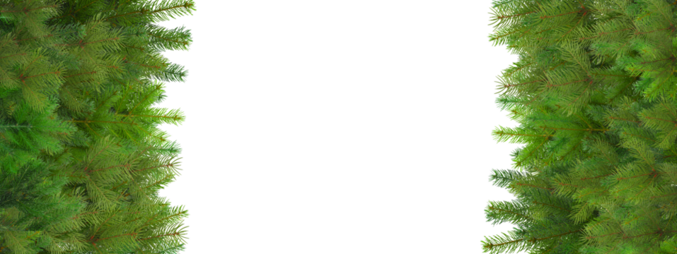 Pine branches make a great holiday border, isolated, PNG