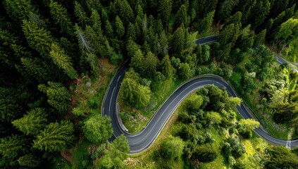 Aerial view of a winding asphalt road traversing a dense, green forest canopy