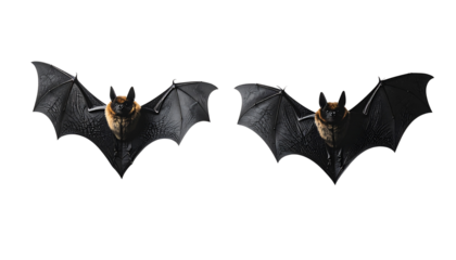 Two bat silhouette variations isolated on transparent background