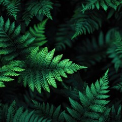 Dense close-up of lush green ferns, creating a textured botanical background