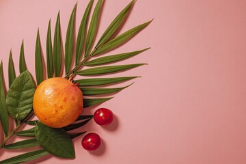Tropical fruit, green leaves, and cherries on a pink background
