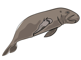 Dugong in continuous line drawing style