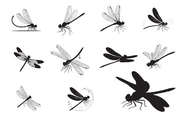 Fototapeta premium Dragonfly Silhouette Vector Set. Insect Line Art, Nature Clip art and Minimal Designs.