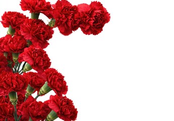 Red carnations form a decorative border against white
