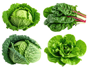 Close-up of four types of leafy green vegetables