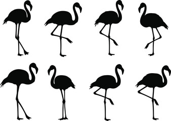 Flamingo bird silhouette illustration, elegant flamingo vector design, tropical bird artwork, standing flamingo drawing, black flamingo graphic, exotic wildlife silhouette, decorative flamingo art