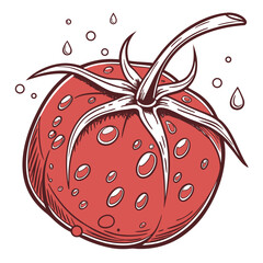 Vector art of fresh tomato