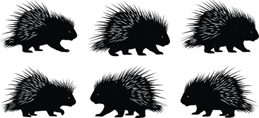 Porcupine silhouette collection, wild animal illustration, spiky quills, walking and standing poses, forest wildlife vector artwork, rodent mammal design isolated set