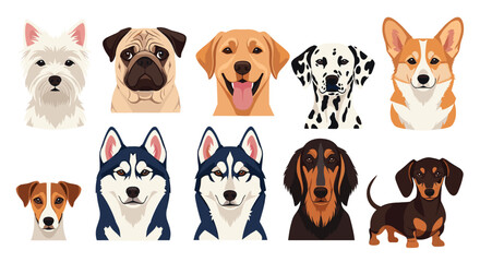 Obraz premium A delightful collection of diverse dog breeds showcasing various facial features and colors.