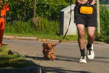 young man running with dog