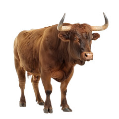 Naklejka premium A brown bull with large horns standing in front of a transparent background.