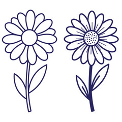 Two simple outline drawings of blooming daisies with long stems and leaves